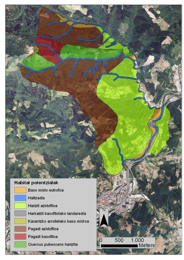 Itsasondoko landaredia potentzialaren mapa Mapa